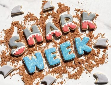 Shark Week Cookie Class for Kids